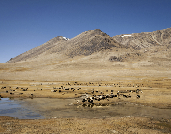 Ouzbékistan et Tadjikistan