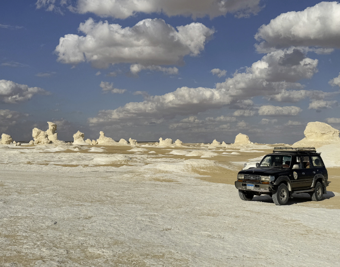 Désert Blanc et Oasis de Baharyia